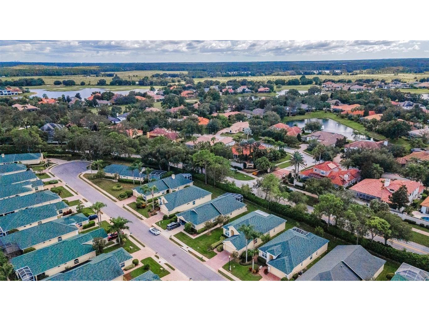 10316 Sorenstam Drive Trinity FL 34655 TB8434587 image2