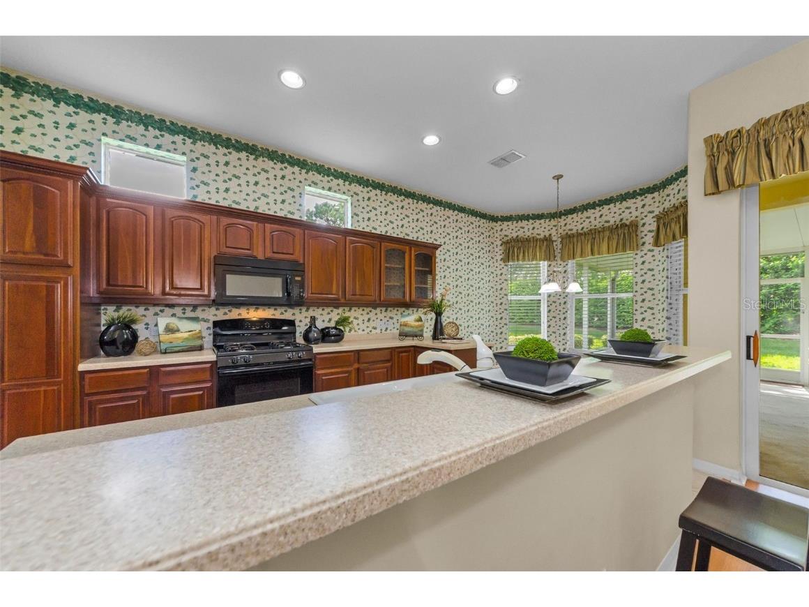 10316 Sorenstam Drive Trinity FL 34655 TB8434587 image20