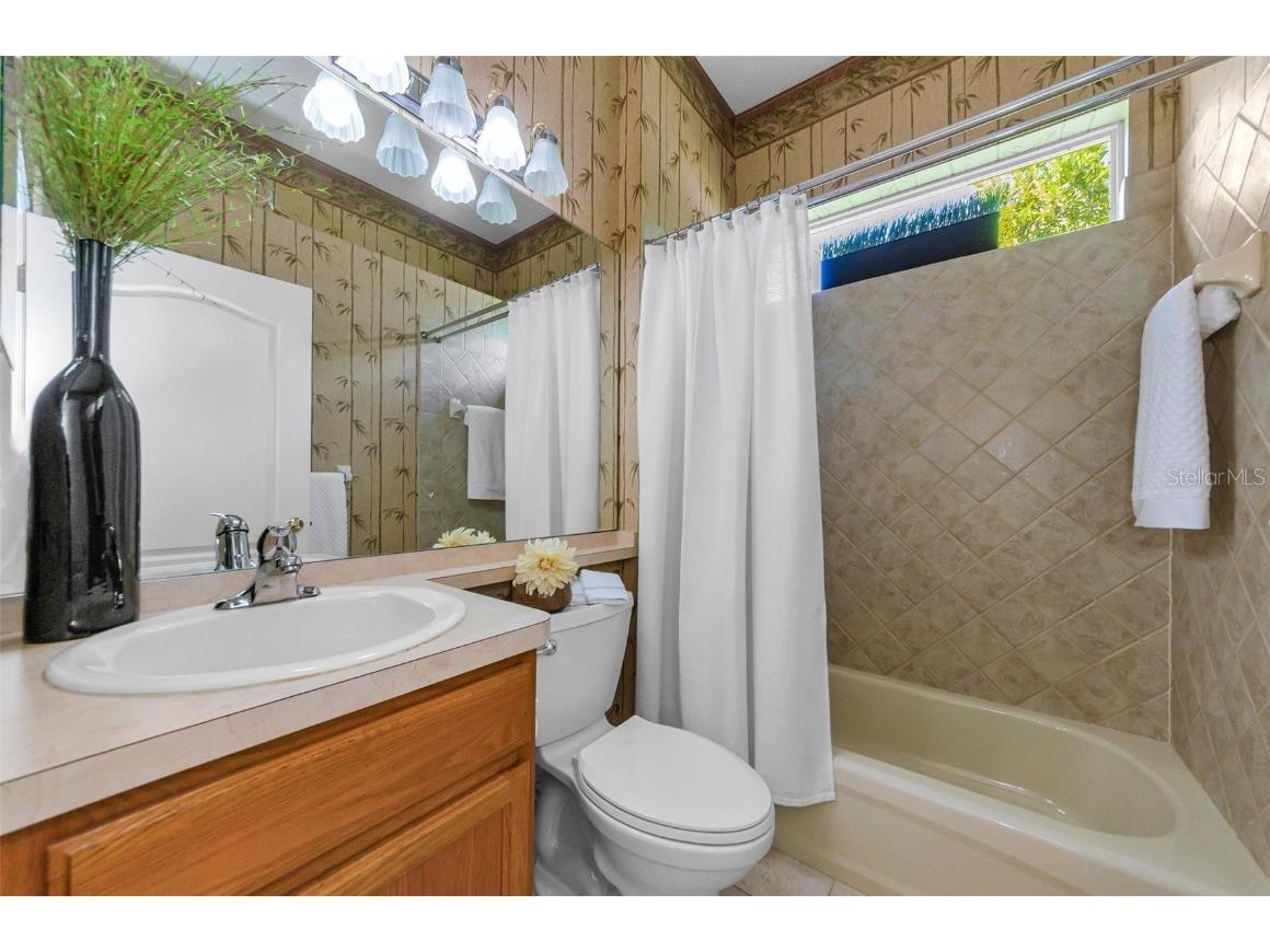 10316 Sorenstam Drive Trinity FL 34655 TB8434587 image31