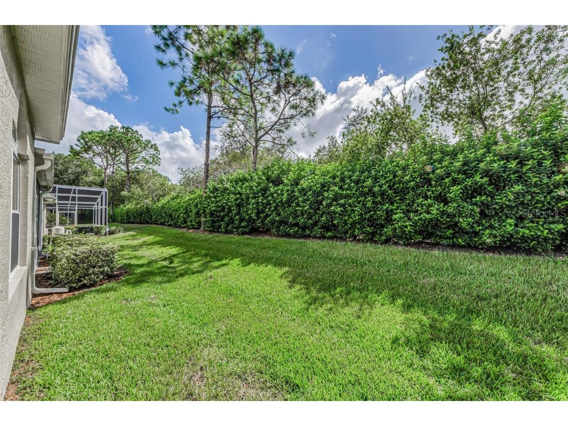 10316 Sorenstam Drive Trinity FL 34655 TB8434587 image39