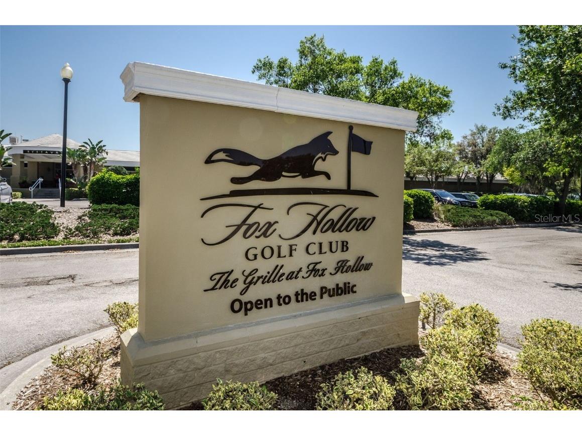 10316 Sorenstam Drive Trinity FL 34655 TB8434587 image43