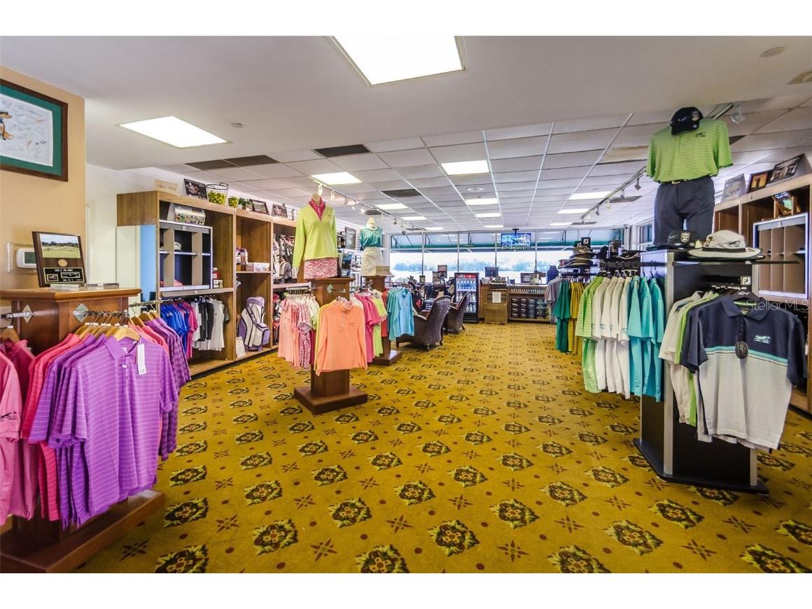 10316 Sorenstam Drive Trinity FL 34655 TB8434587 image45