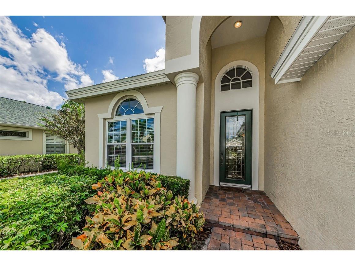 10316 Sorenstam Drive Trinity FL 34655 TB8434587 image7