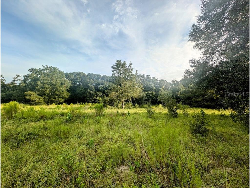 10316 SW 170th Street Archer FL 32618 GC525039 image2