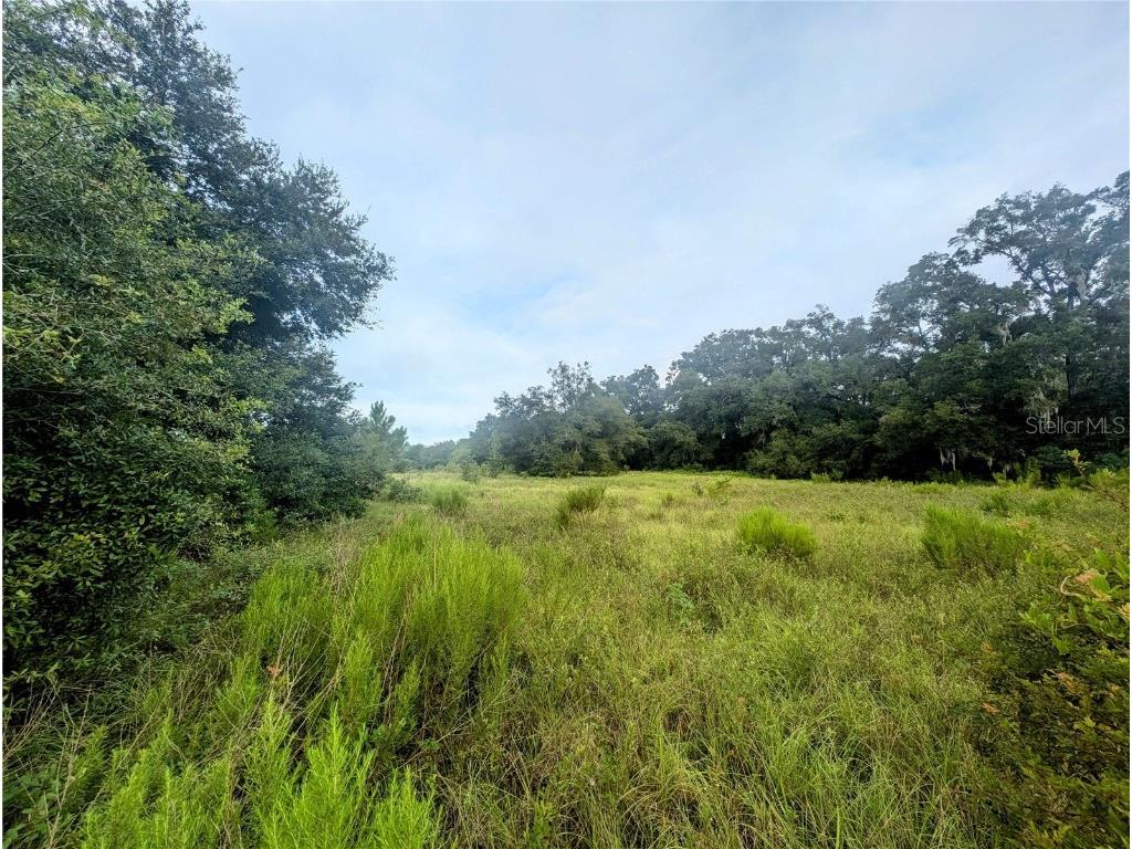 10316 SW 170th Street Archer FL 32618 GC525039 image3