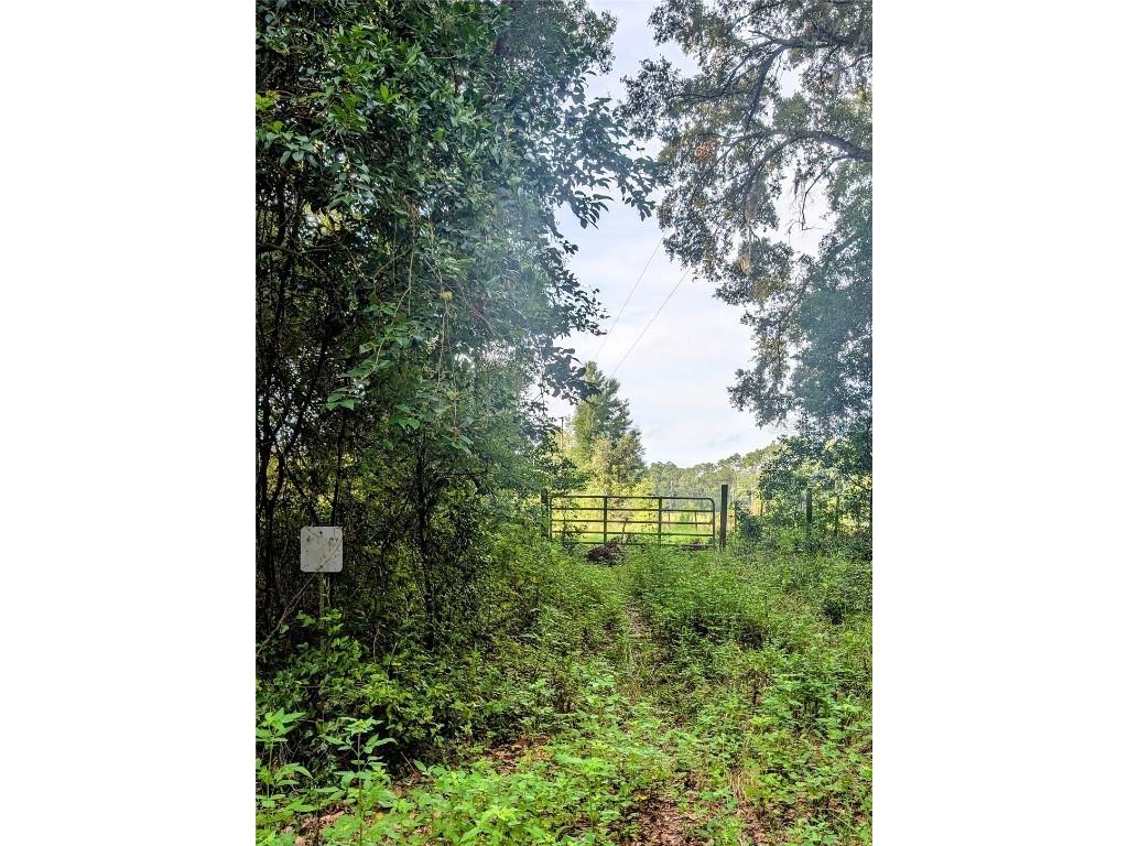 10316 SW 170th Street Archer FL 32618 GC525039 image4