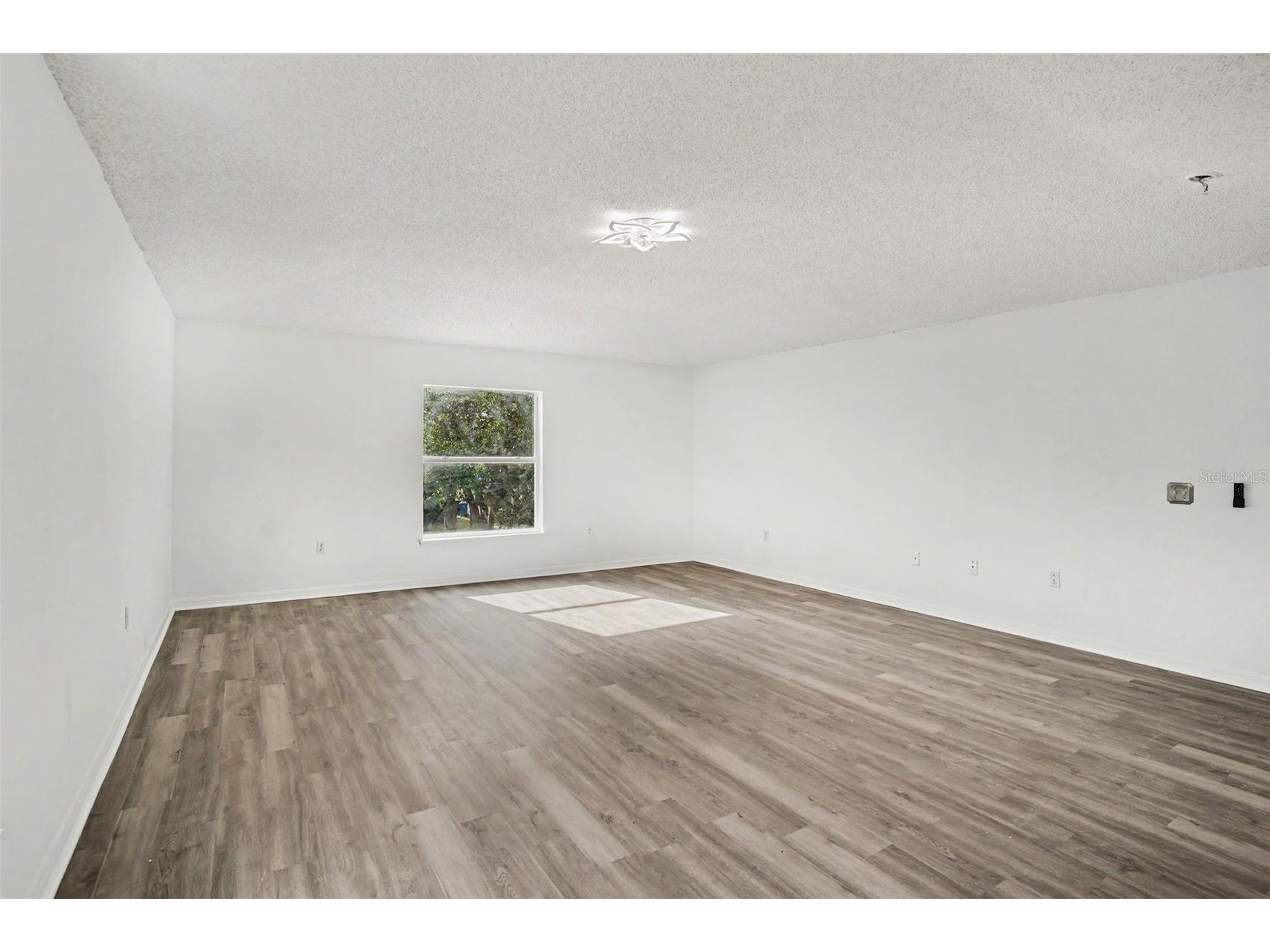 10317 Frog Pond Drive Riverview FL 33569 TB8495295 image27
