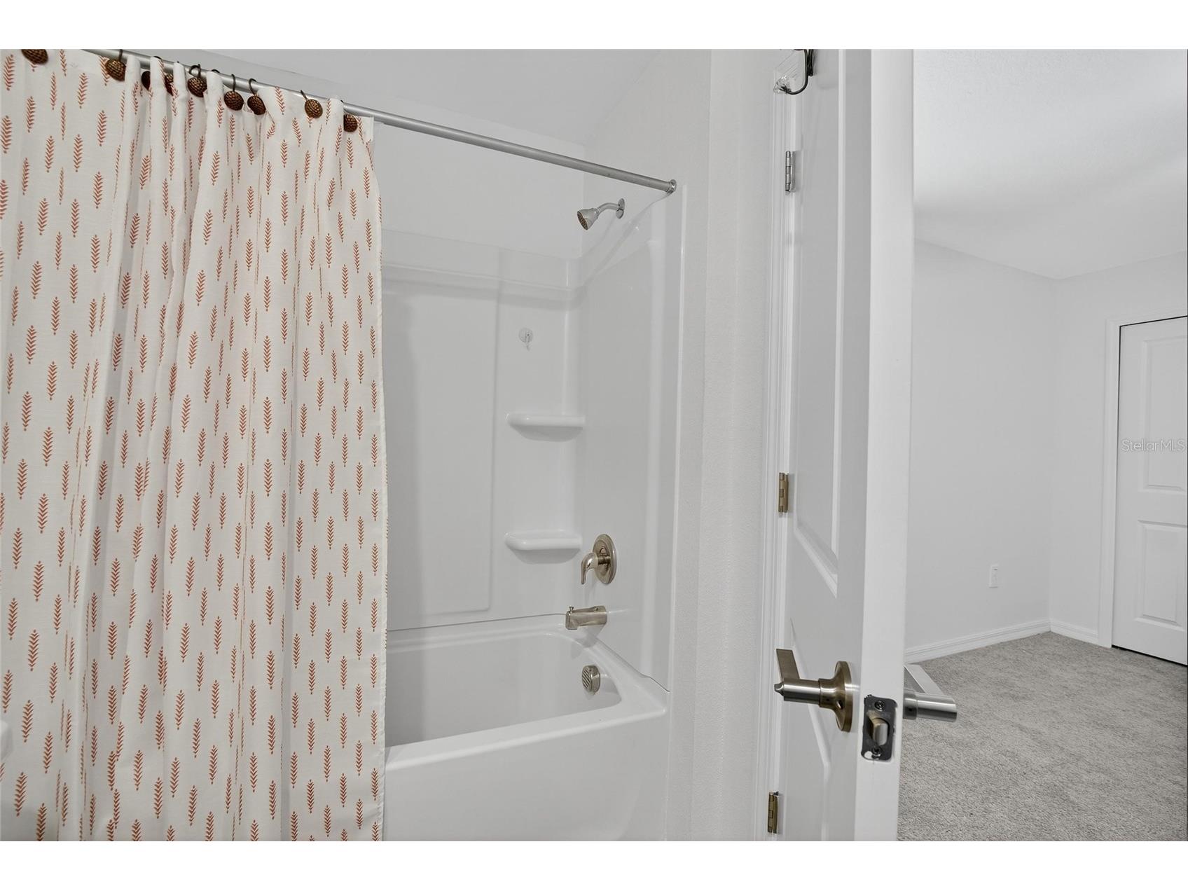 10317 Trumpet Honeysuckle Way San Antonio FL 33576 TB8470114 image22