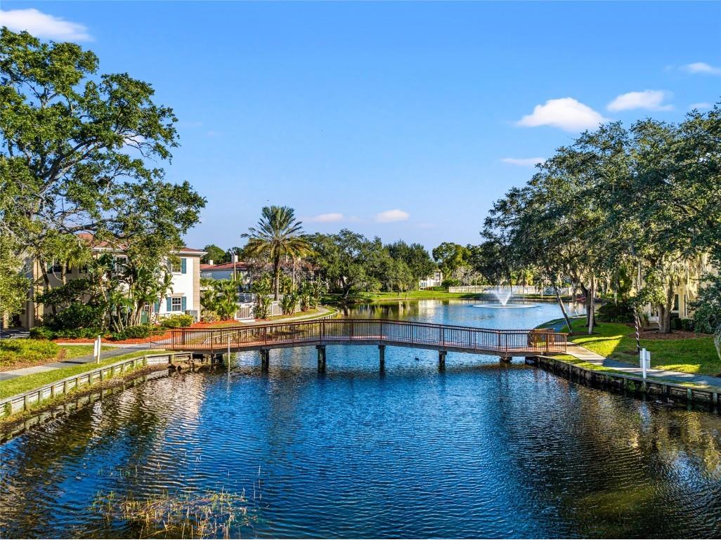 10318 Carrollwood Lane #66 Tampa FL 33618 T3493004 image1