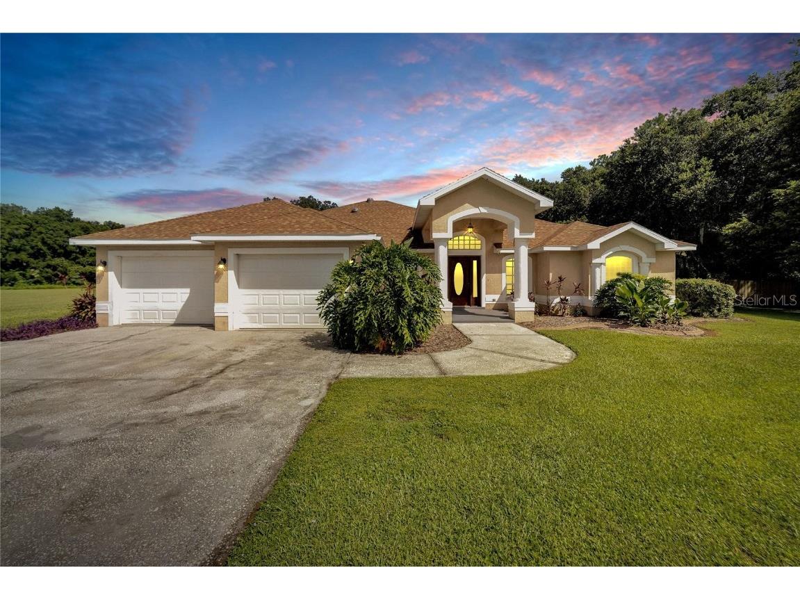 10318 Little Creek Place Dover FL 33527 T3551466 image1