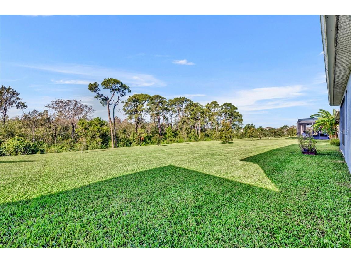 10318 Love Story Street Winter Garden FL 34787 O6339686 image35