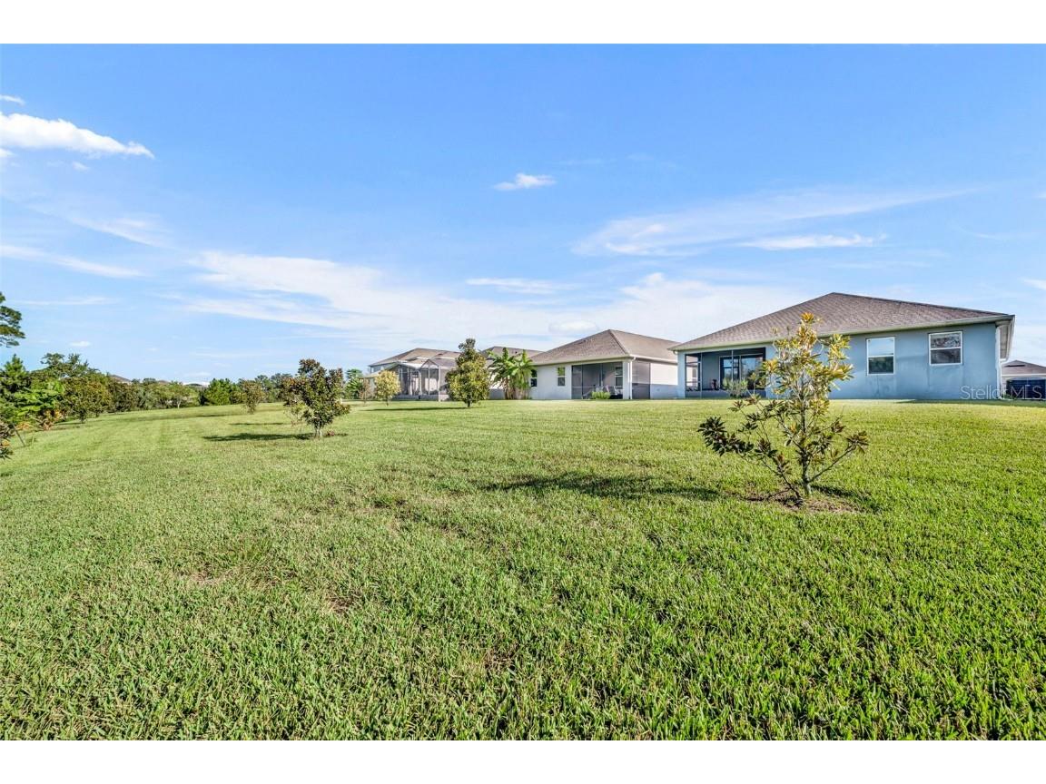 10318 Love Story Street Winter Garden FL 34787 O6339686 image36