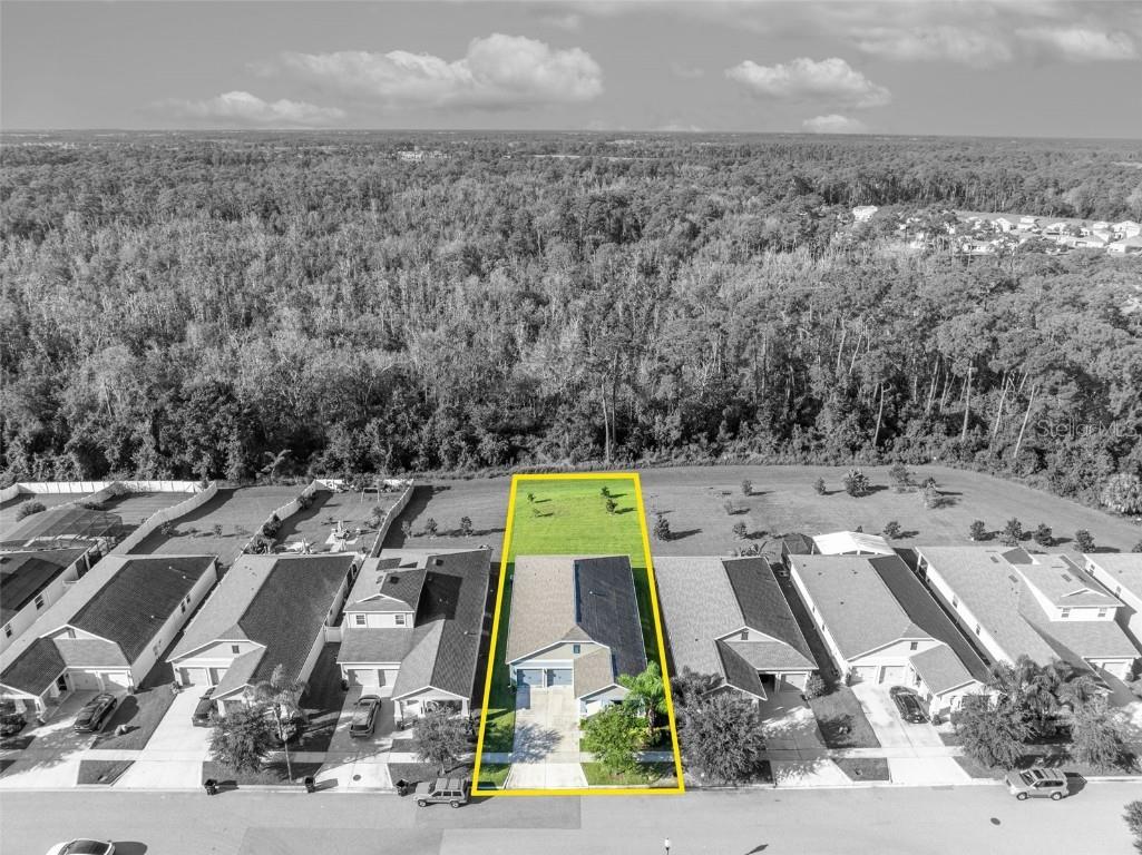 10318 Love Story Street Winter Garden FL 34787 O6339686 image44