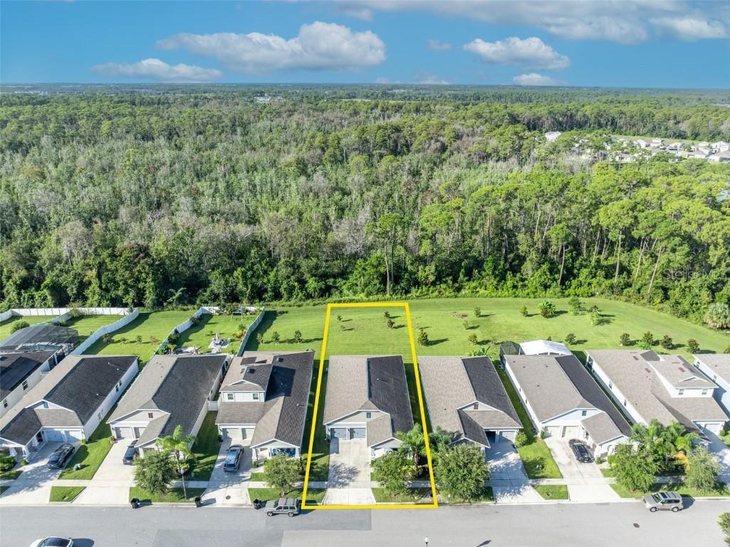 10318 Love Story Street Winter Garden FL 34787 O6339686 image45