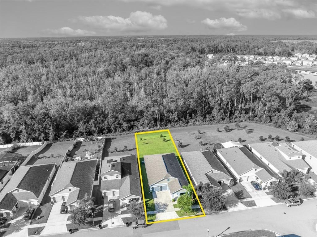 10318 Love Story Street Winter Garden FL 34787 O6339686 image46