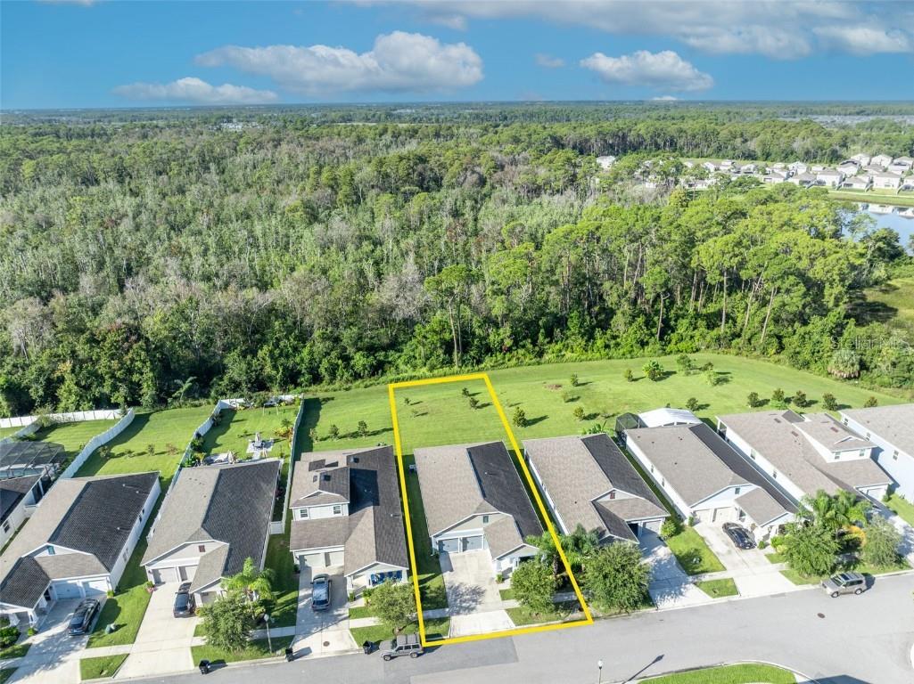 10318 Love Story Street Winter Garden FL 34787 O6339686 image47