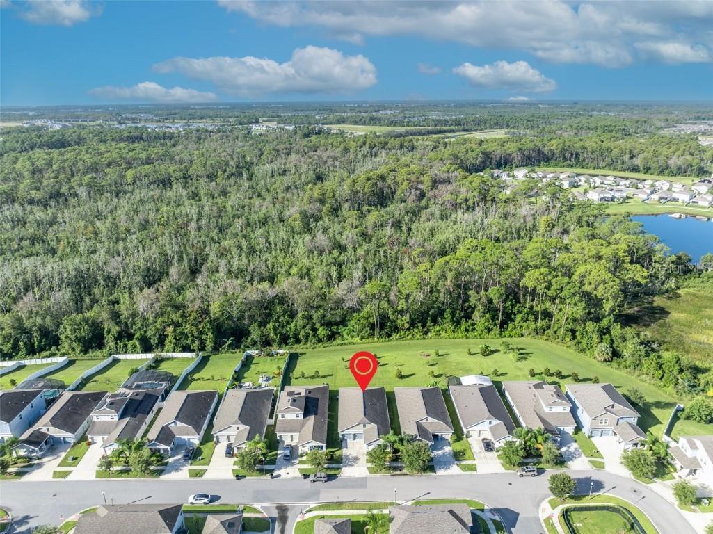 10318 Love Story Street Winter Garden FL 34787 O6339686 image48