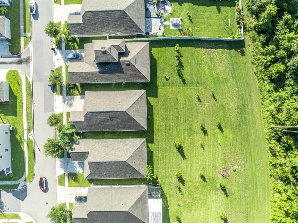 10318 Love Story Street Winter Garden FL 34787 O6339686 image51