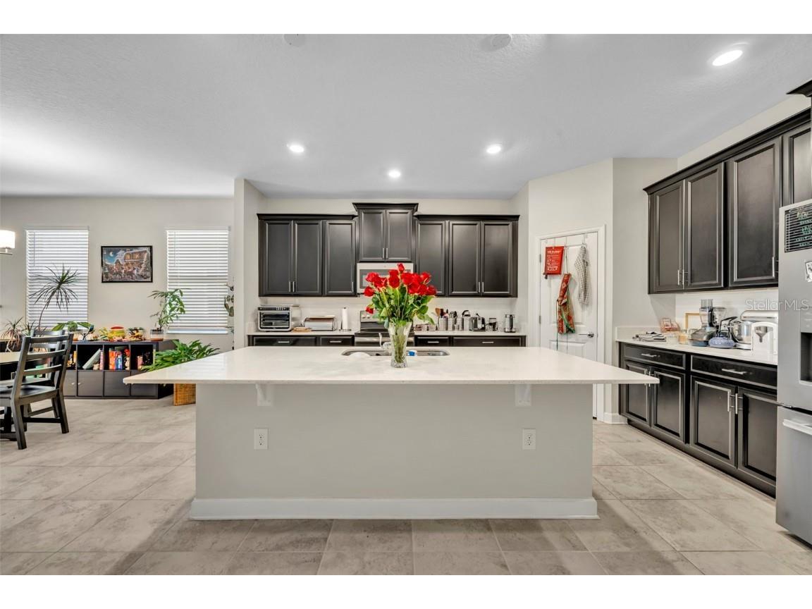 10318 Love Story Street Winter Garden FL 34787 O6339686 image7