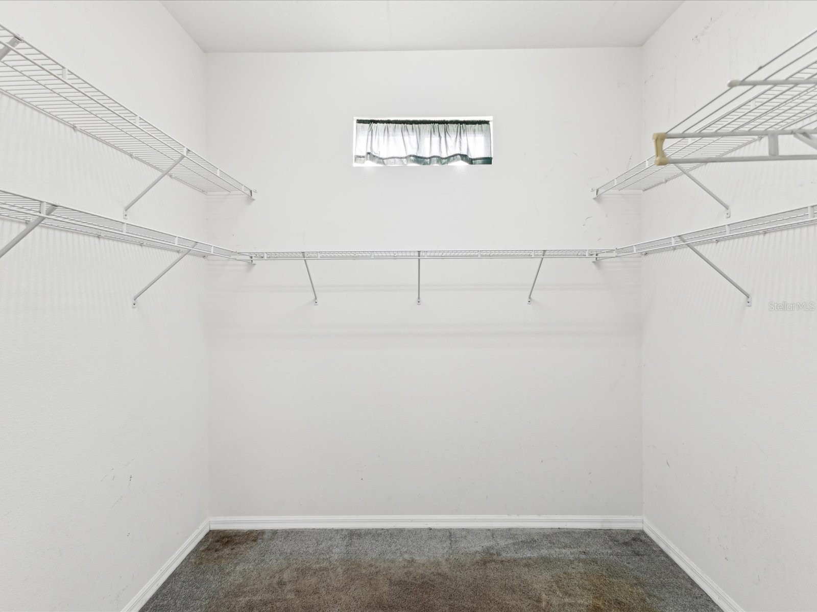 10318 Piper Drive New Port Richey FL 34654 W7874482 image28