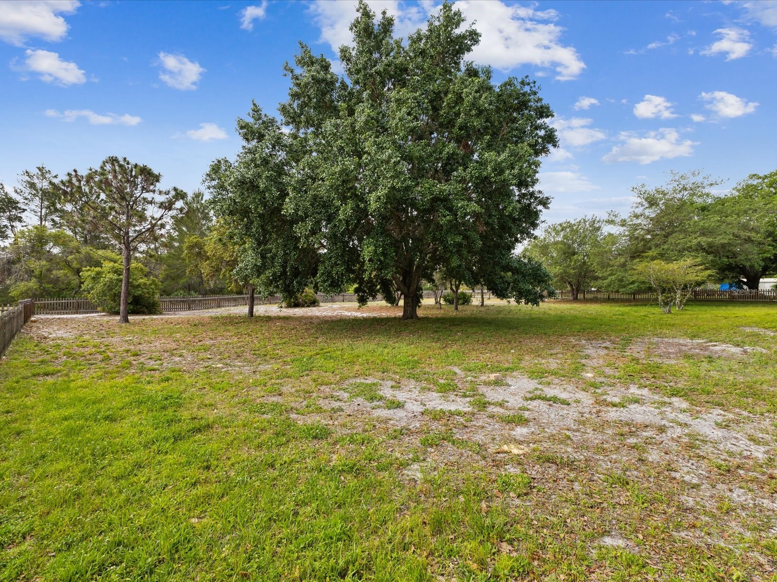 10318 Piper Drive New Port Richey FL 34654 W7874482 image53