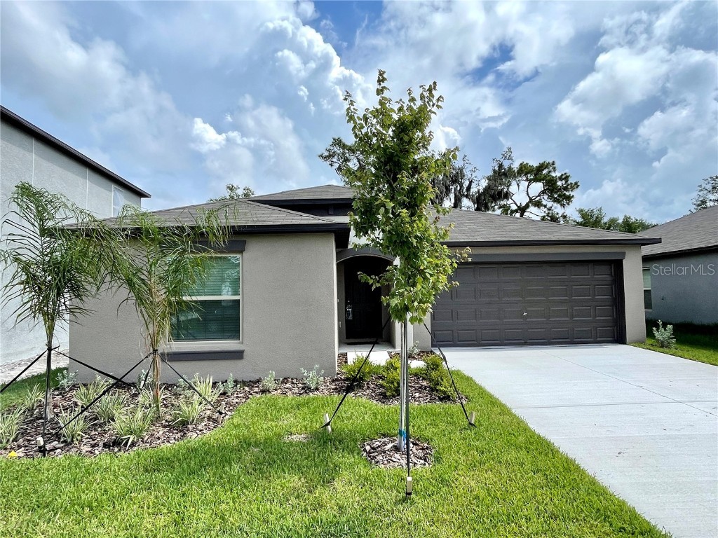 10318 Scarlett Skimmer Drive Riverview FL 33578 T3488225 image1