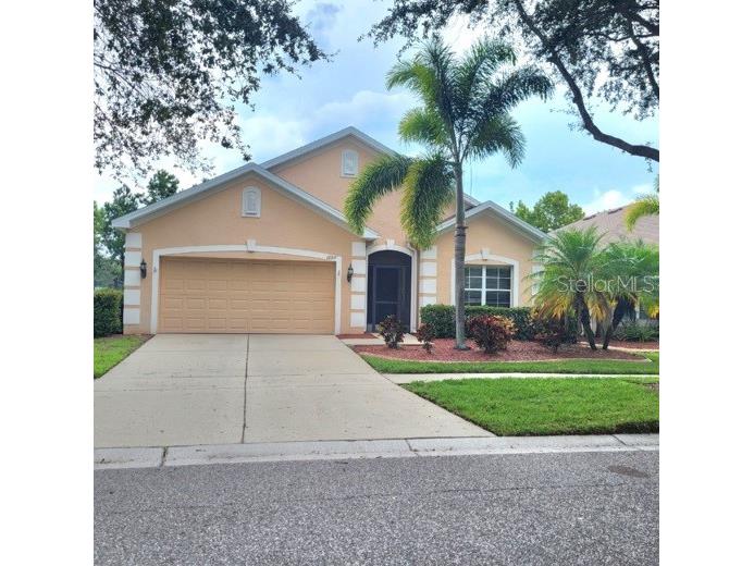 10319 Celtic Ash Drive Ruskin FL 33573 T3514145 image1