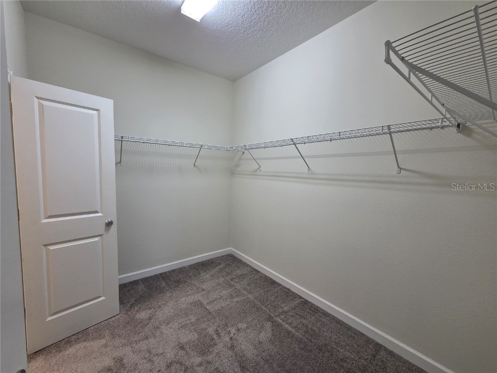 10319 Lovegrass Lane Orlando FL 32832 O6353957 image23