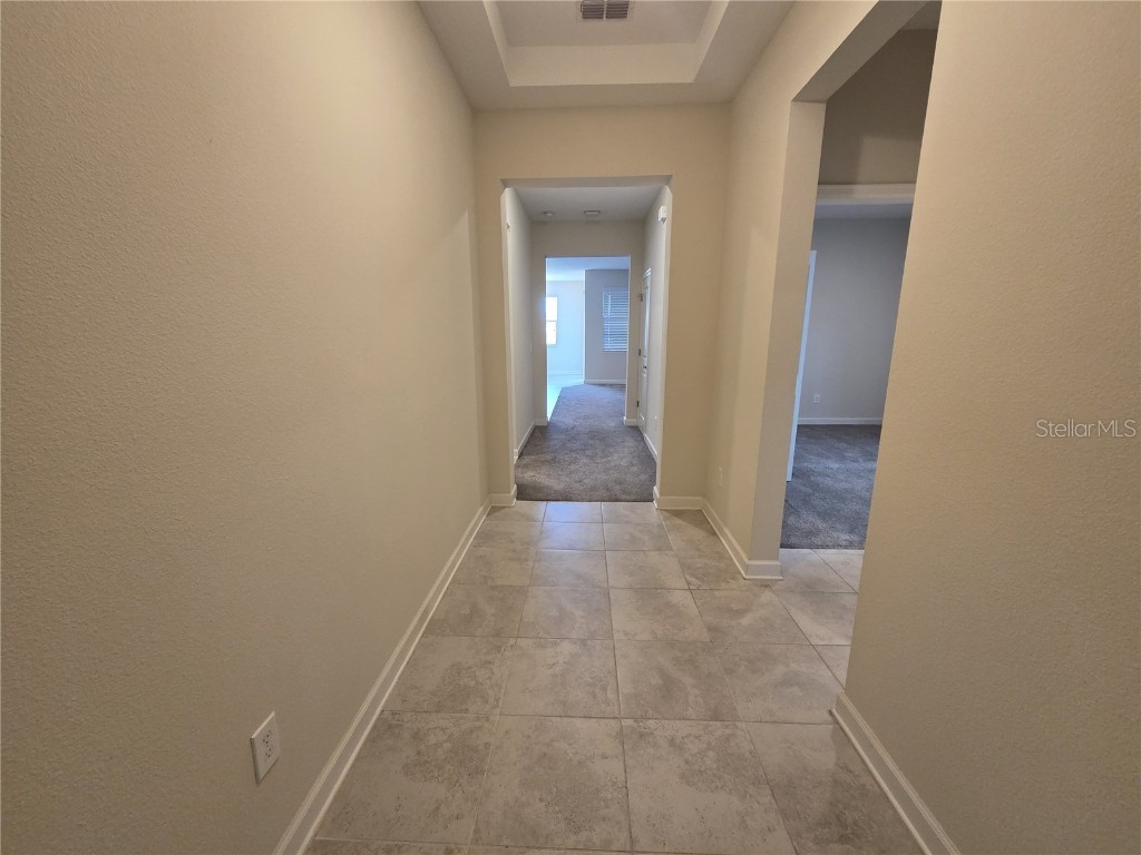 10319 Lovegrass Lane Orlando FL 32832 O6353957 image3