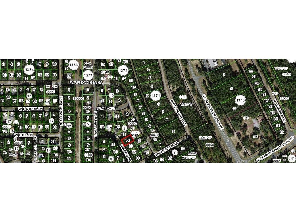 10319 N Abby Drive Citrus Springs FL 34434 C7482819 image1