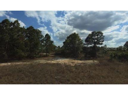 1032 Chadwick Avenue Lehigh Acres FL 33974 W7883096 image1
