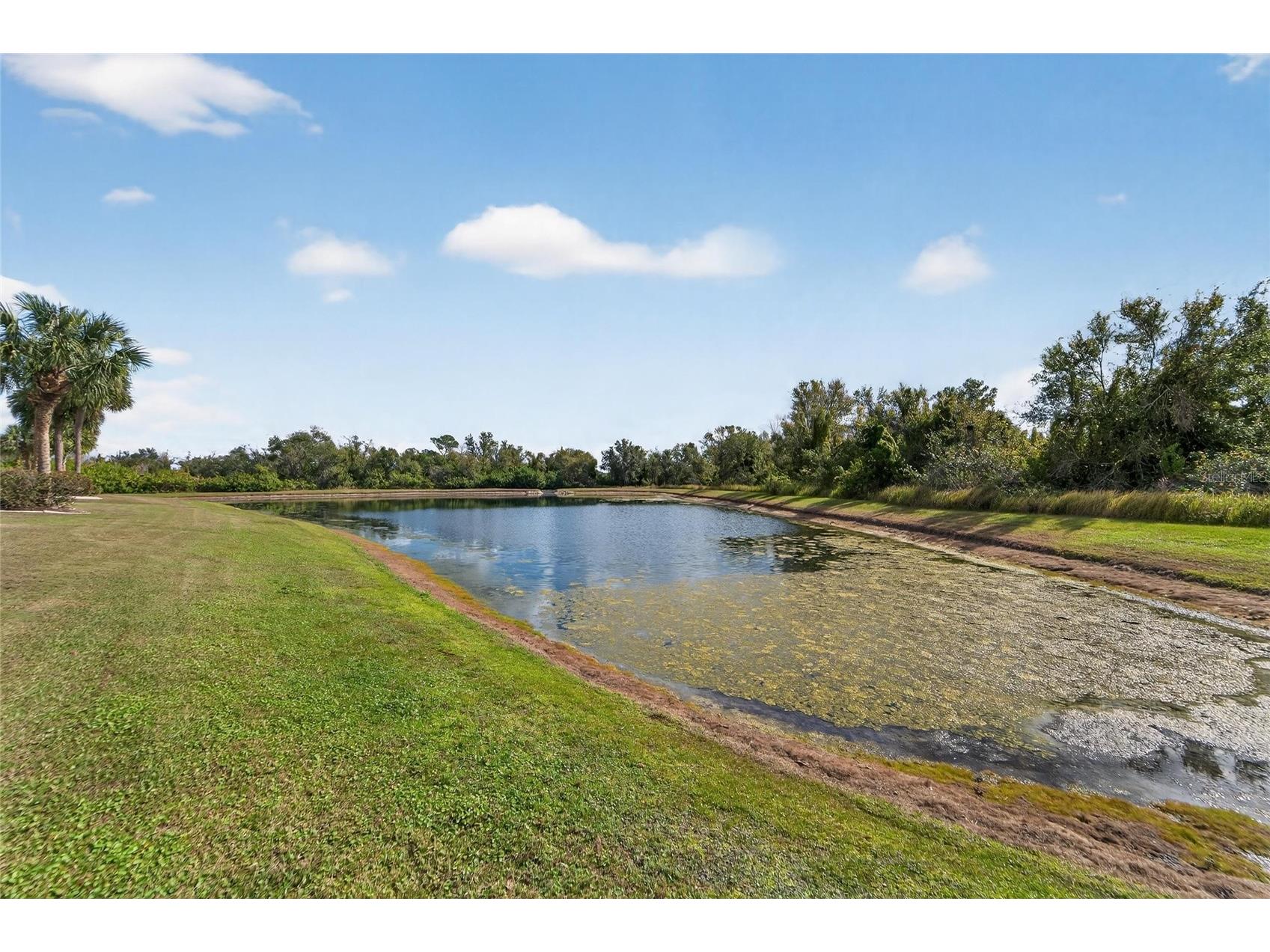 1032 Regal Manor Way Sun City Center FL 33573 TB8460363 image69