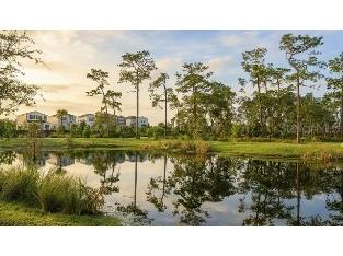 1032 Top Minnow Road Saint Cloud FL 34771 O6401717 image33