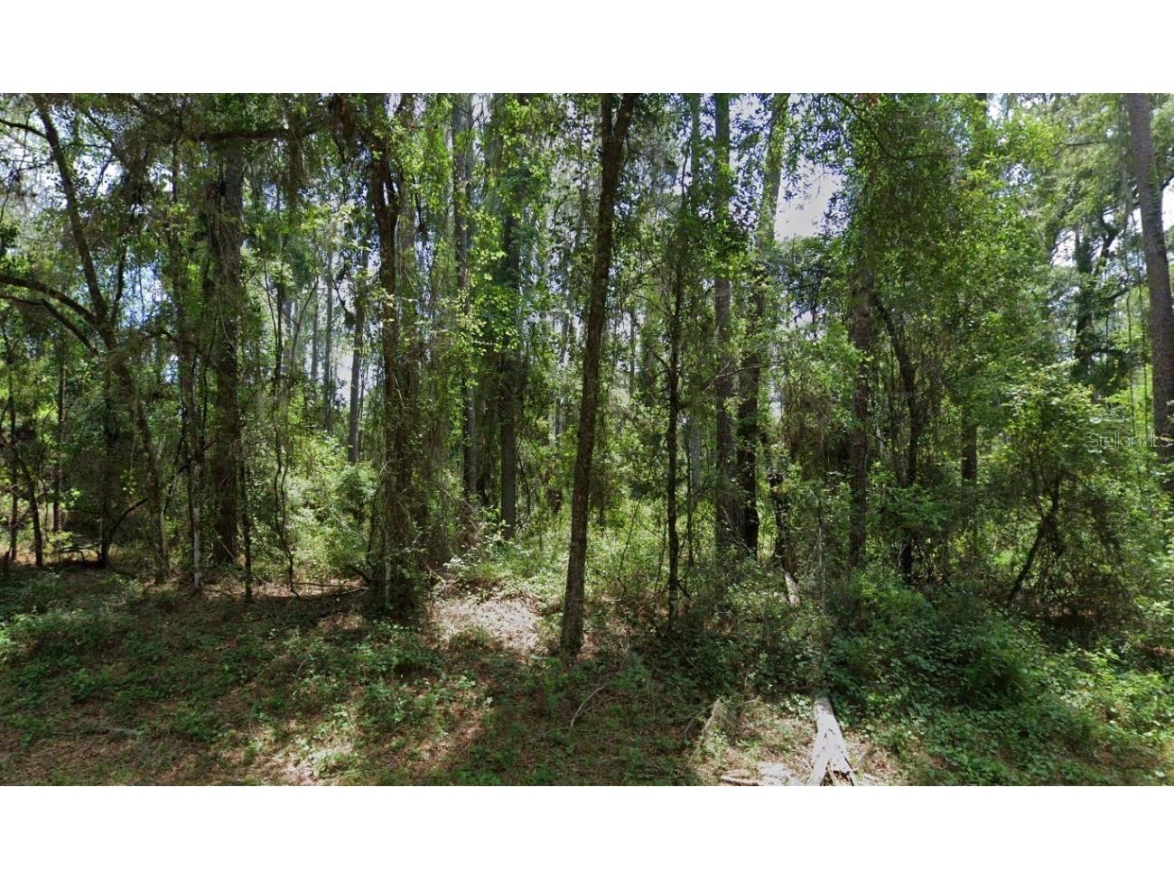 1032 Vercelli Lane Citrus Springs FL 34434 OM707037 image1