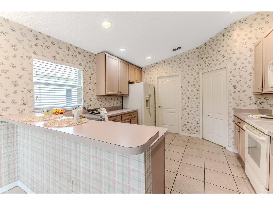 1032 Walnut Hill Court Spring Hill FL 34609 W7875292 image13