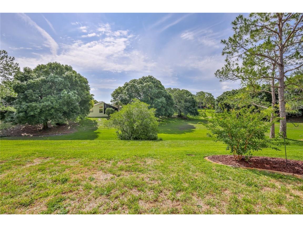 1032 Walnut Hill Court Spring Hill FL 34609 W7875292 image33