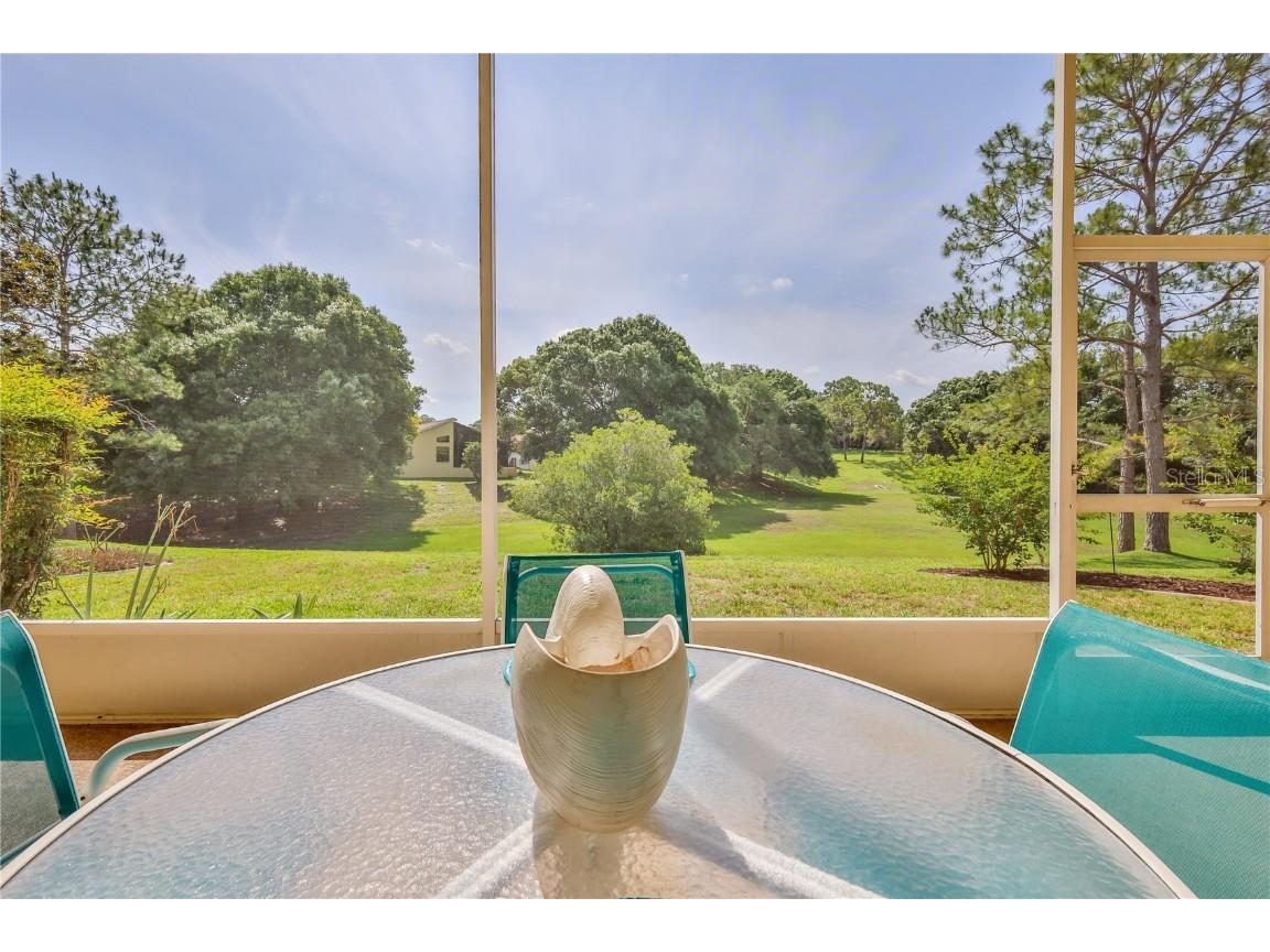 1032 Walnut Hill Court Spring Hill FL 34609 W7875292 image34