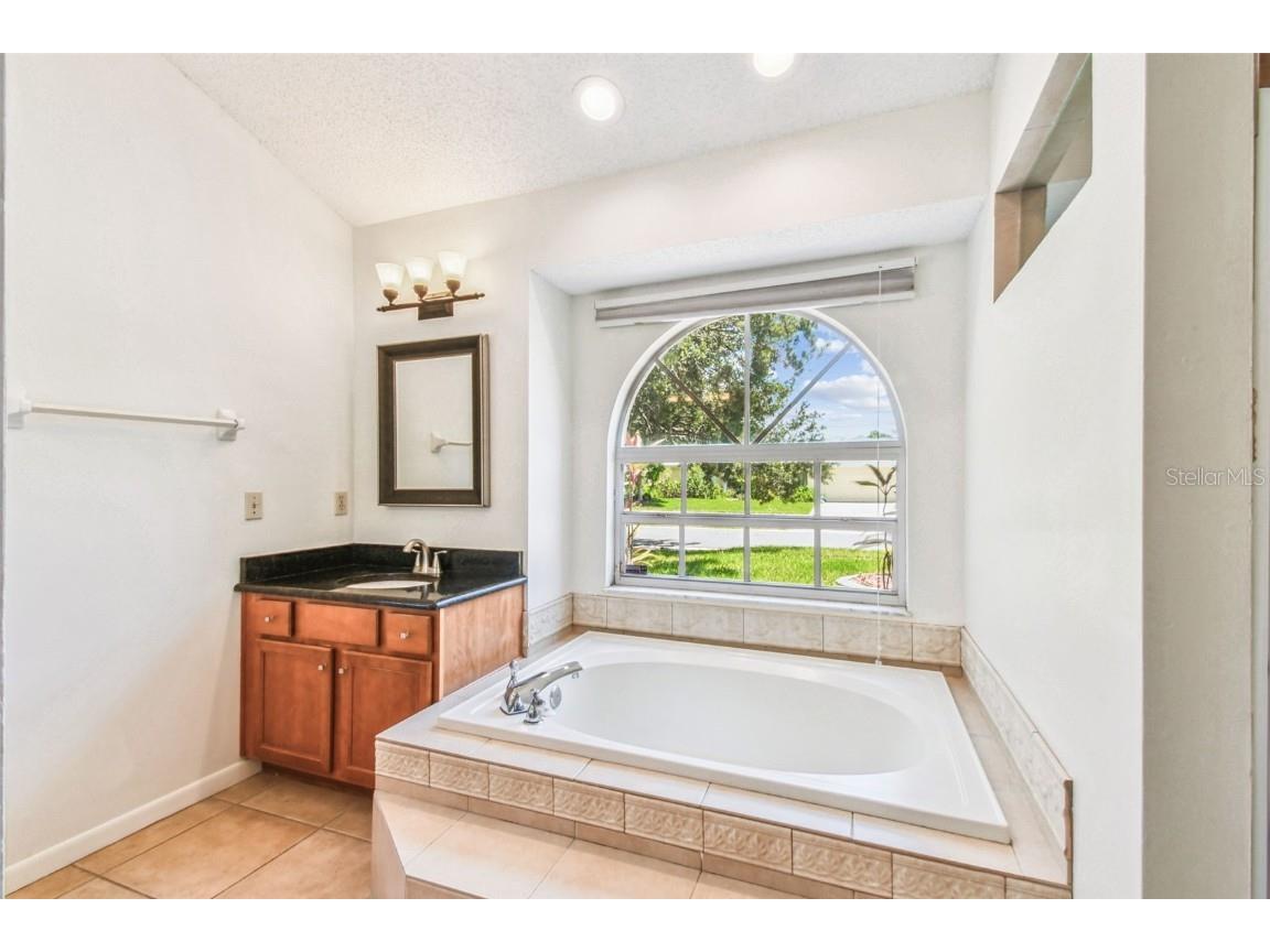 10320 Ashley Oaks Drive Riverview FL 33578 TB8410279 image13