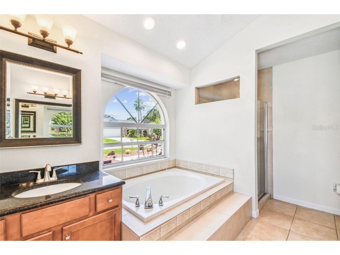 10320 Ashley Oaks Drive Riverview FL 33578 TB8410279 image16