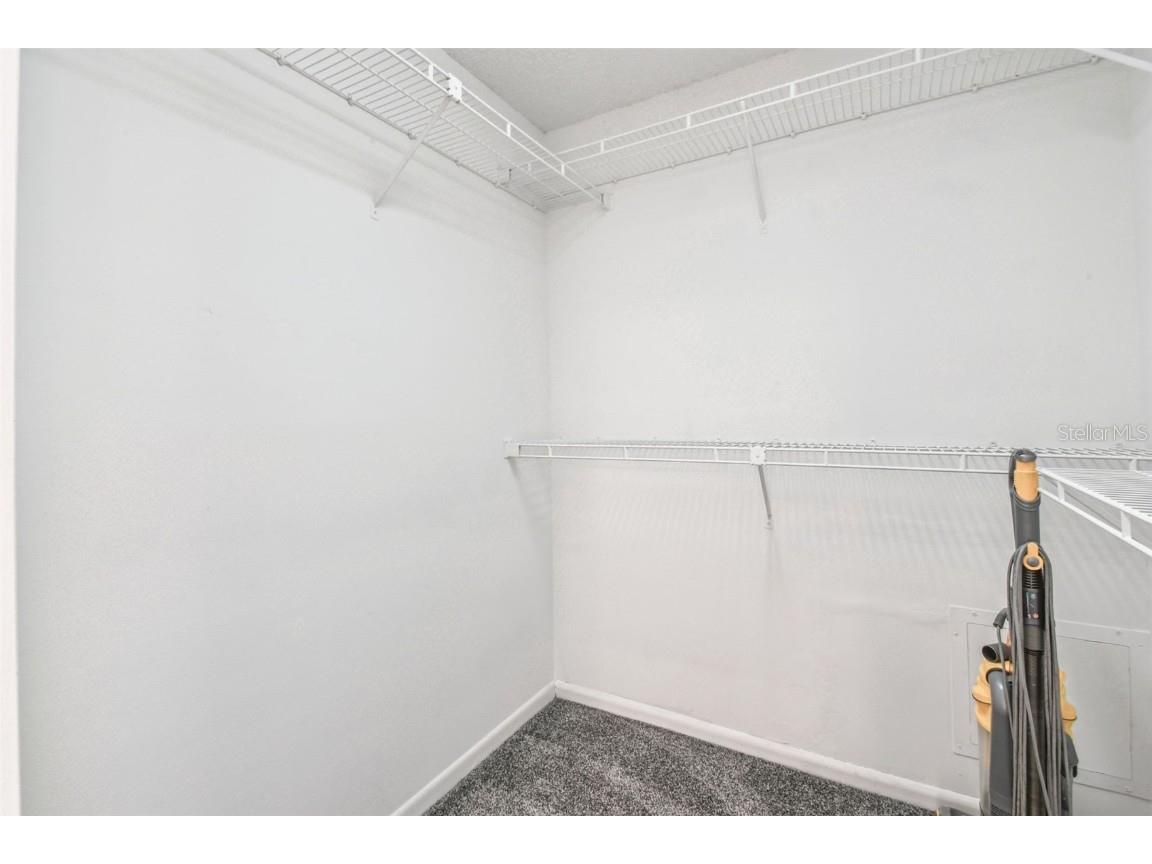 10320 Ashley Oaks Drive Riverview FL 33578 TB8410279 image17