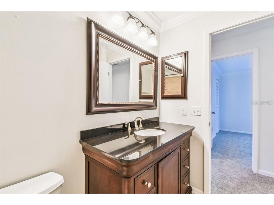 10320 Ashley Oaks Drive Riverview FL 33578 TB8410279 image38