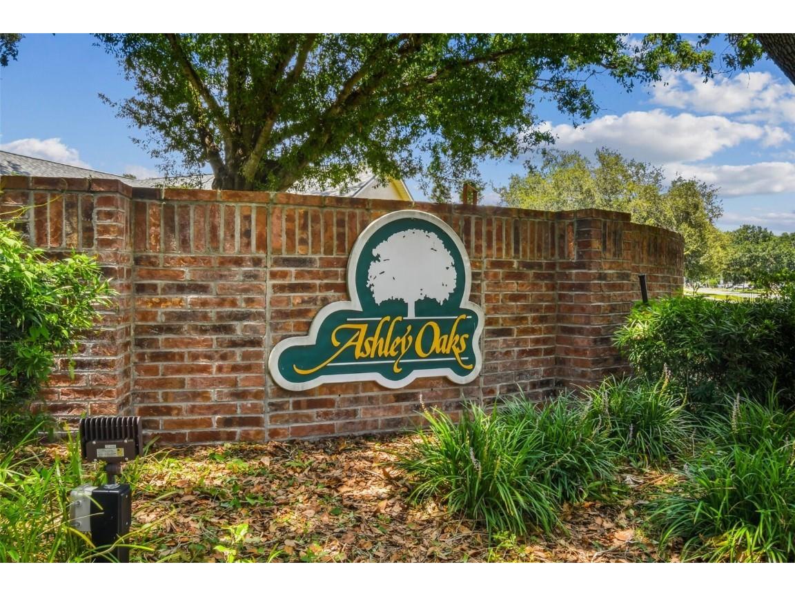 10320 Ashley Oaks Drive Riverview FL 33578 TB8410279 image55