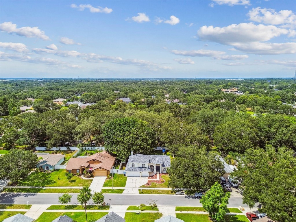 10320 Ashley Oaks Drive Riverview FL 33578 TB8410279 image58