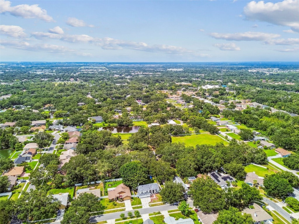 10320 Ashley Oaks Drive Riverview FL 33578 TB8410279 image60