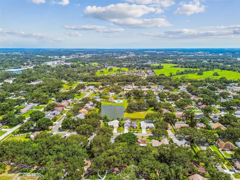 10320 Ashley Oaks Drive Riverview FL 33578 TB8410279 image61