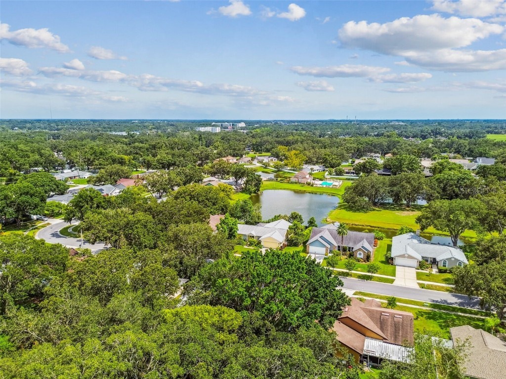 10320 Ashley Oaks Drive Riverview FL 33578 TB8410279 image62