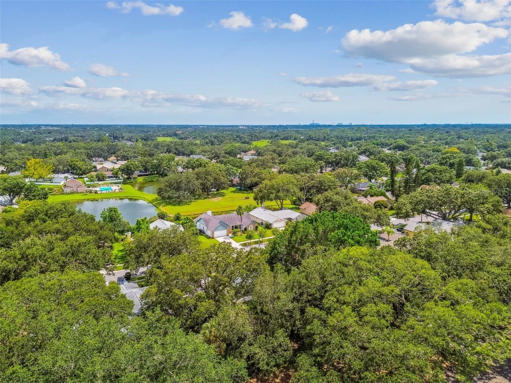 10320 Ashley Oaks Drive Riverview FL 33578 TB8410279 image63