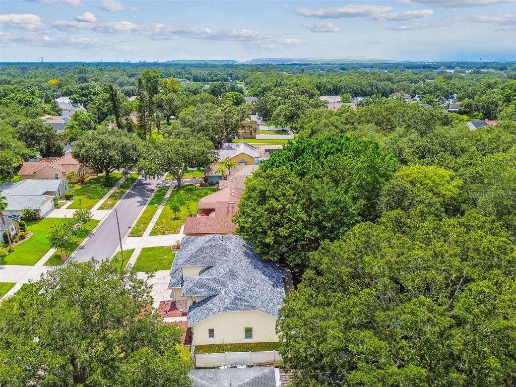 10320 Ashley Oaks Drive Riverview FL 33578 TB8410279 image65