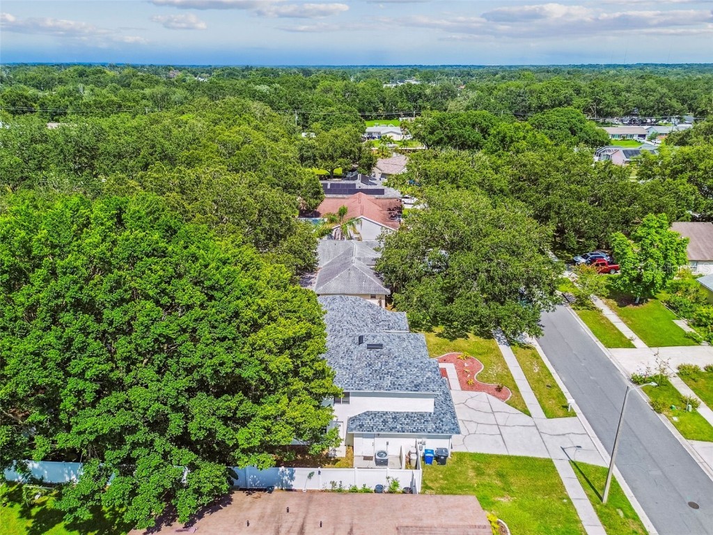 10320 Ashley Oaks Drive Riverview FL 33578 TB8410279 image66