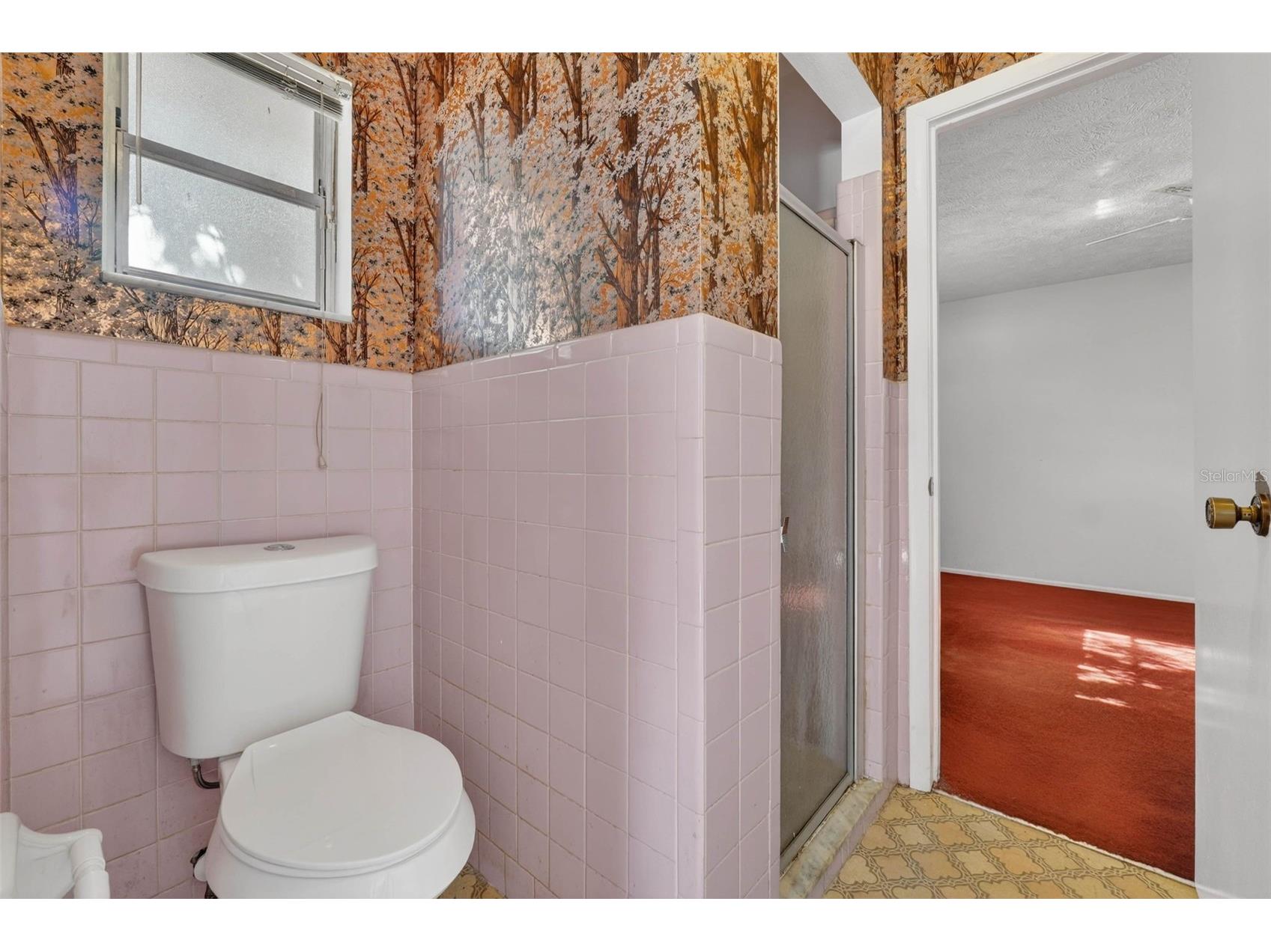 10320 Brownwood Avenue Orlando FL 32825 S5142852 image19